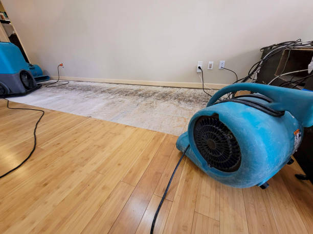 Professional Sewage Cleanup technician working in Pleasant Grove, OH